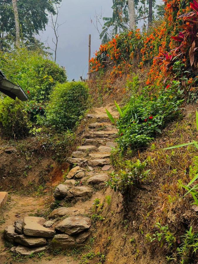 Eviana Homestay Darjeeling  Eksteriør bilde
