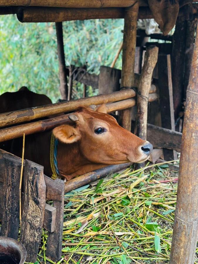 Eviana Homestay Darjeeling  Eksteriør bilde