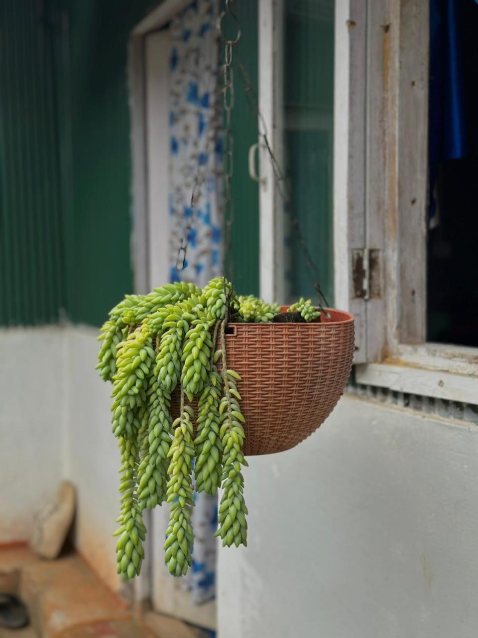 Eviana Homestay Darjeeling  Eksteriør bilde